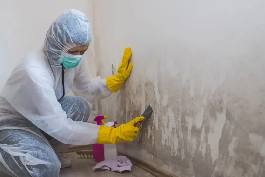 water damage restoration service Austin Avenue